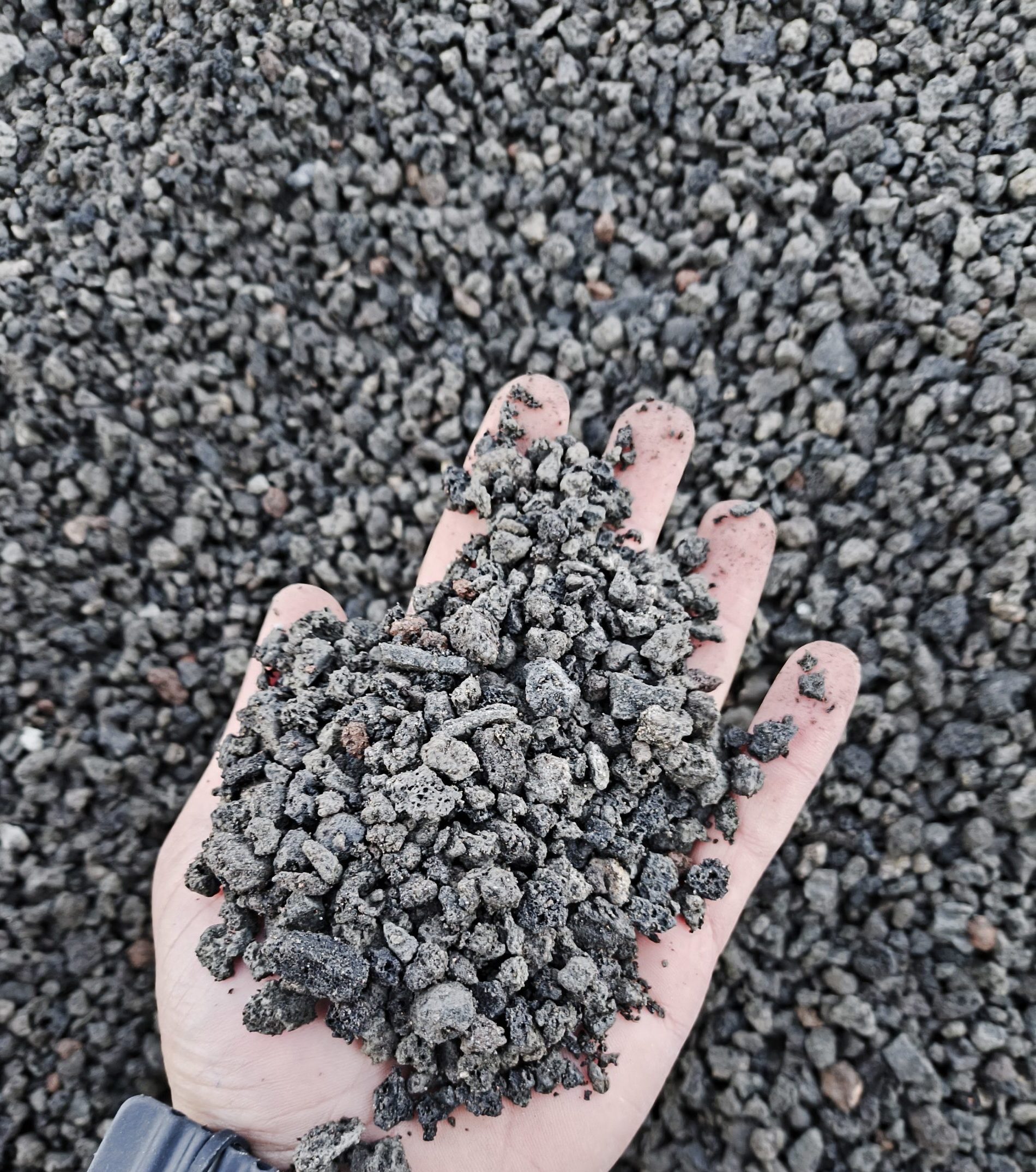 پوکه عدسی